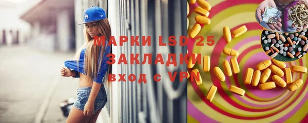 индика Алзамай
