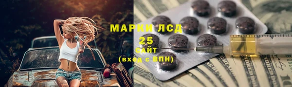 стаф Новозыбков