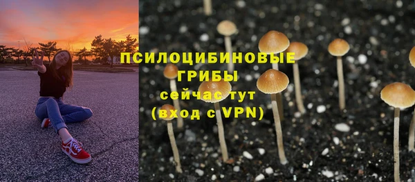 индика Алзамай