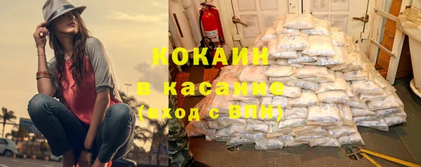 индика Алзамай