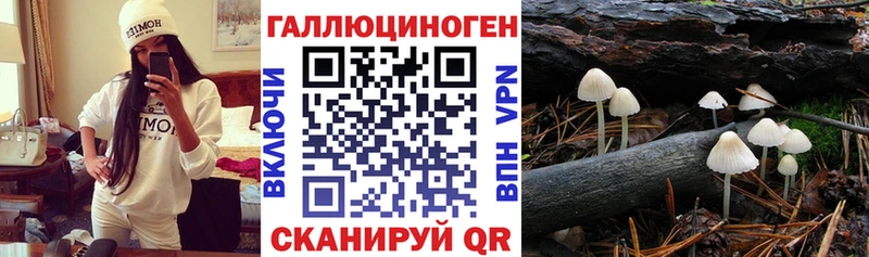 Галлюциногенные грибы мухоморы  Кувшиново 
